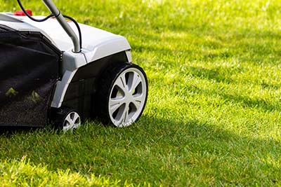 Landscape Maintenance